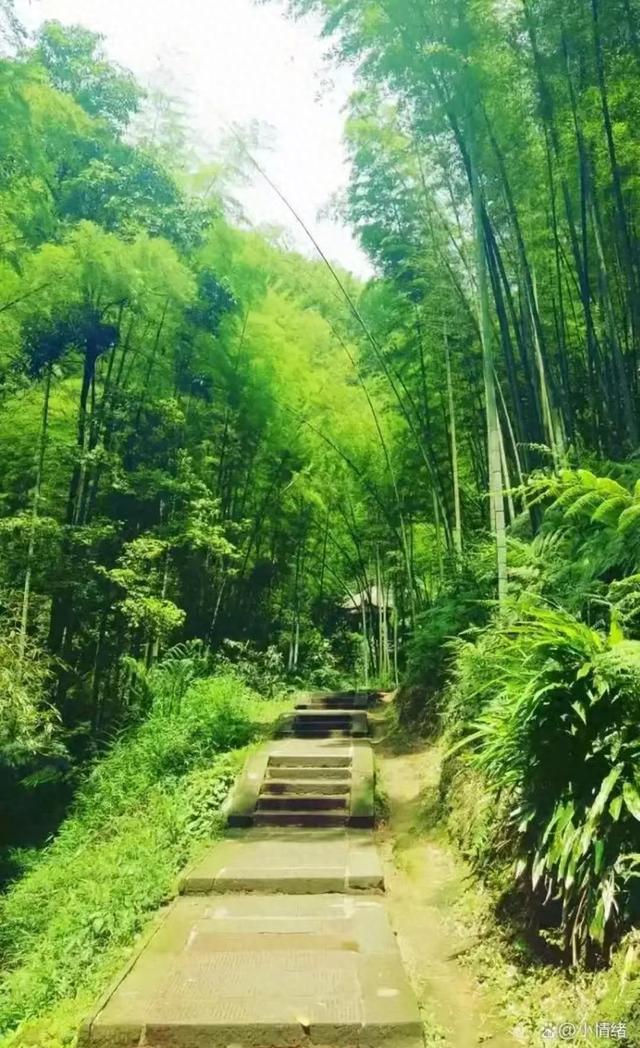盛山十二景之竹岩（4）