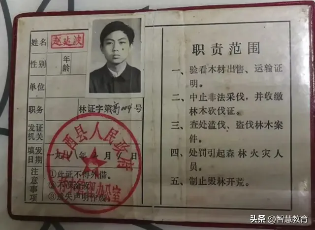 从山乡林间走来的林业人
