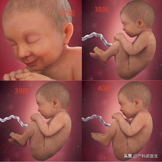 黄攸然
