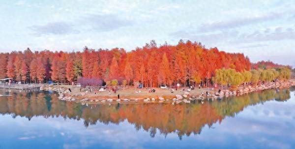 新蔡县：文旅融合赋新能 文脉传承润“水城”