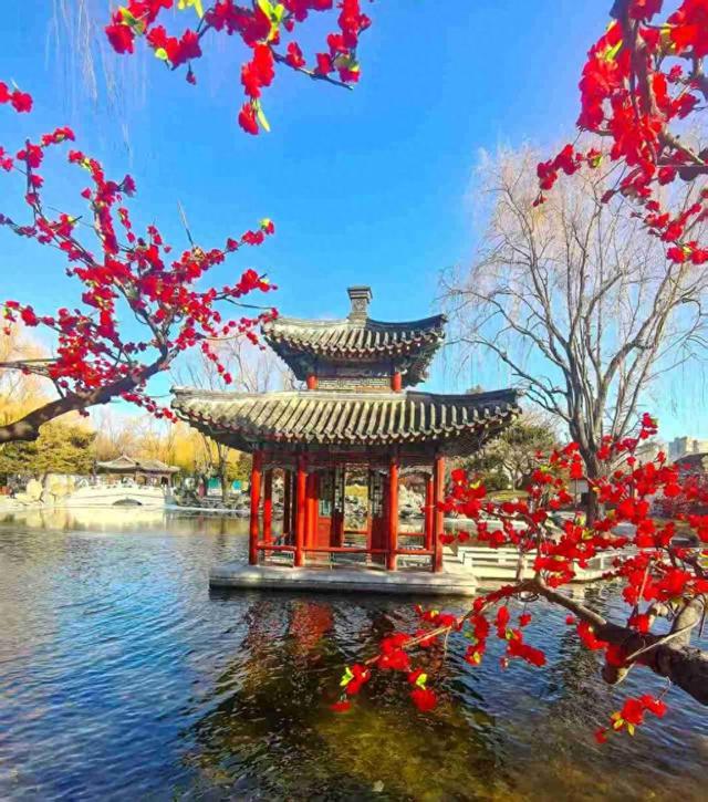 京城拍客今日精选｜大寒迎春日 冰雪绽芳华