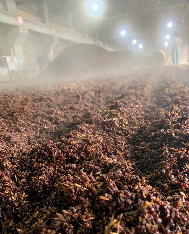 2025年12月 第5页