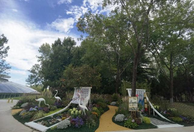 假期来济南植物园！秋日花海+花境展 + 特色活动，开启金秋好时光~