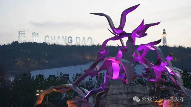 星落入海，夜宴仙境：长岛夏夜幻境与舌尖上的海潮交响