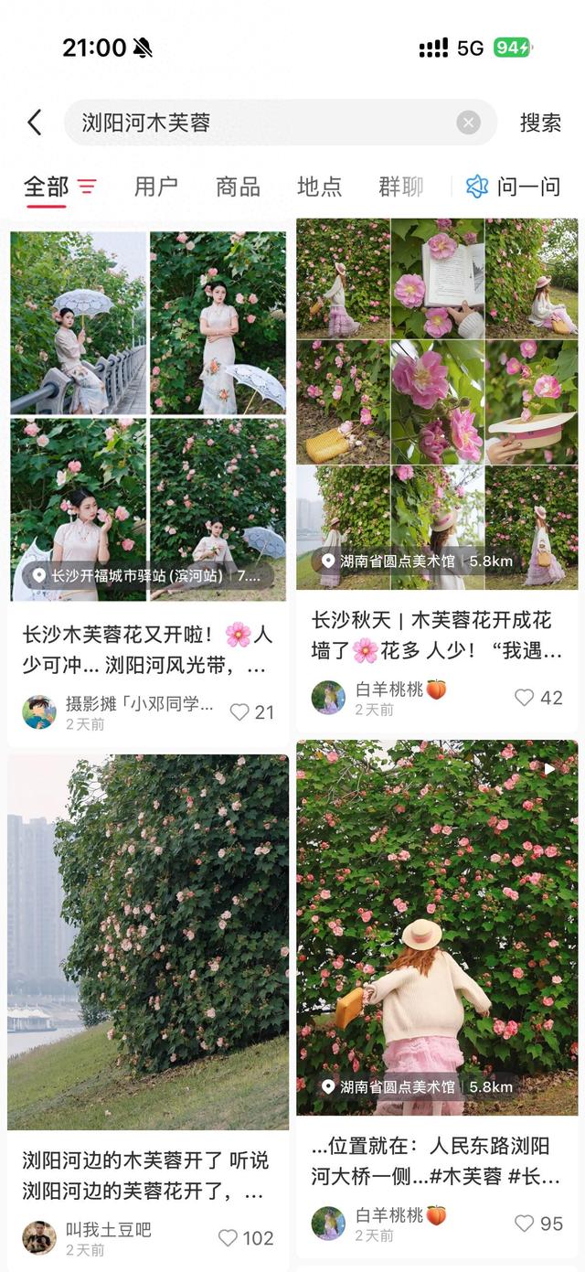 长沙人秋天的仪式感，藏在浏阳河畔这片粉色花海里