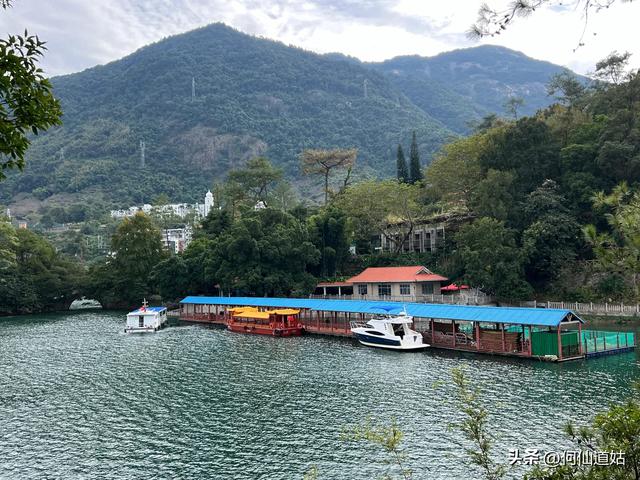 游流溪河森林公园