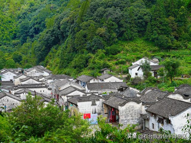 牯牛降的夏天