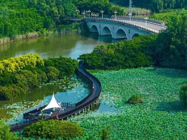 南沙旭日耀羊城：从“湿地孤岛”到“湾区门户”的时代跨越