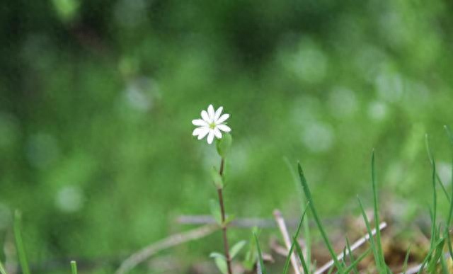 为什么你身边围绕的都是小人恶人，原因：你活得太正直！太正能量