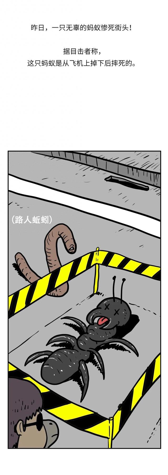 假如蚂蚁从飞机上掉下，不会摔死吗？