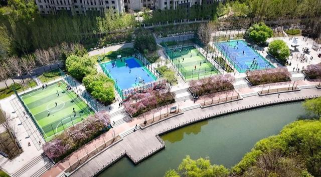 功夫下载破解版游戏（当年说没地方健身的人）