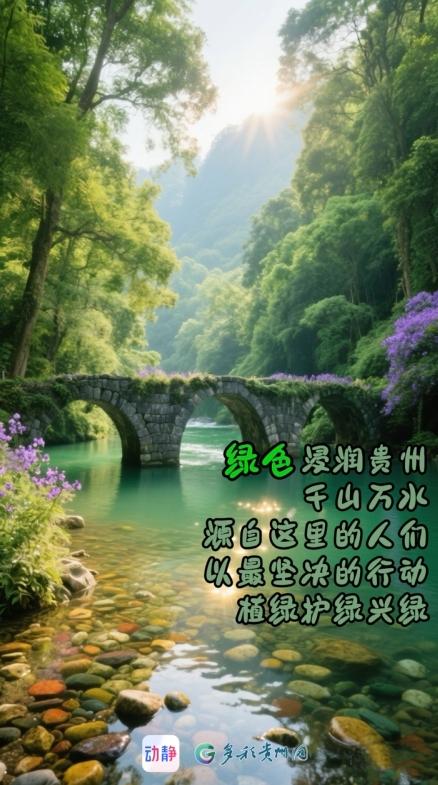 我AI贵州这一抹绿