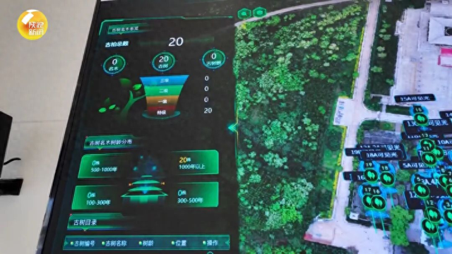 古老文明，正以数字化方式走向未来