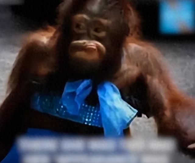 被锁暗室6年：剃毛穿丝袜当玩物，惨状撕开人类伪善面具