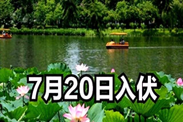 “早入伏凉得早。晚入伏热得跳”，7月20号入伏，入伏是早是晚？