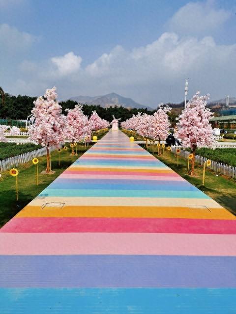 我和老伴在吉林白城呆了半年，终于明白，为啥大家都愿意来白城了