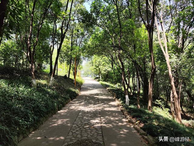 探秘九华山公园，寻找三藏塔和玄奘顶骨的故事