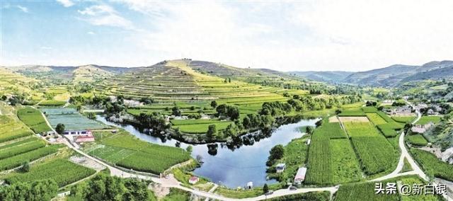 黄土高原的“江南秘境”——侯家川齐靳湿地生态掠影