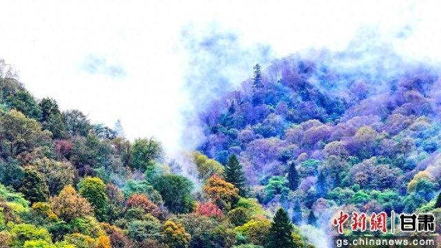 陇南宕昌：“智慧+服务”绘就文旅融合新图景
