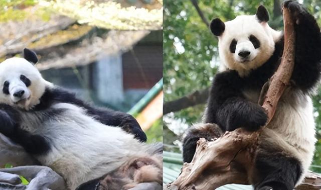 手慢无！广州遛娃限时免费福利，8大热门景点等你抢，附攻略→