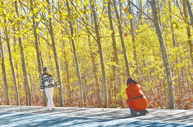 【郑州八“景”·唤醒重塑】黄河岸边“慢生活”