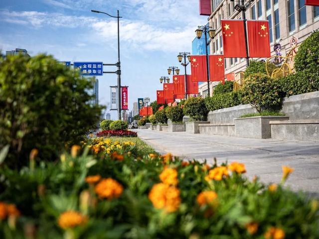 这边风景“郑”好（三）：花海成景 节日色彩分外浓