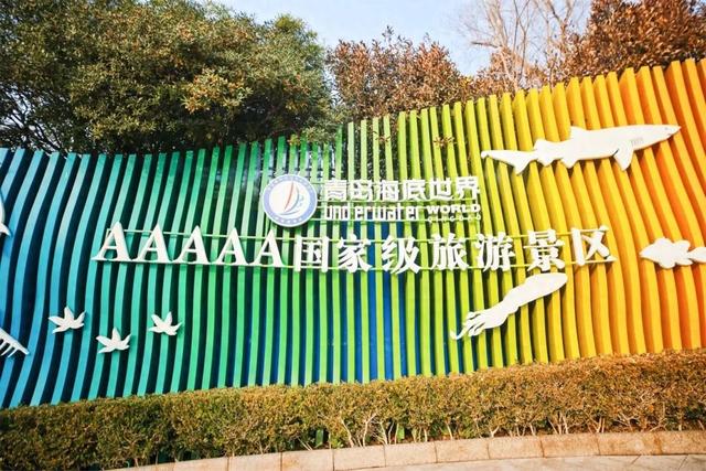 青岛海底世界新业态合作伙伴招募令