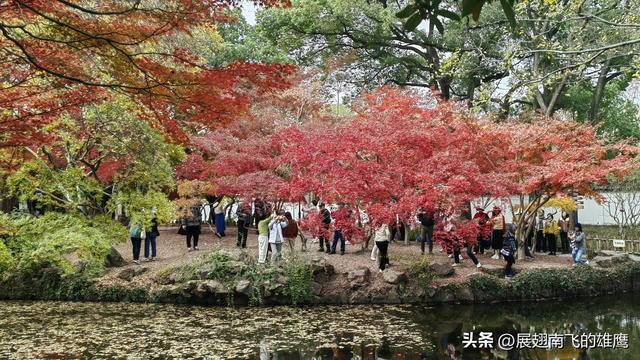 《秋霞圃古园的枫情》