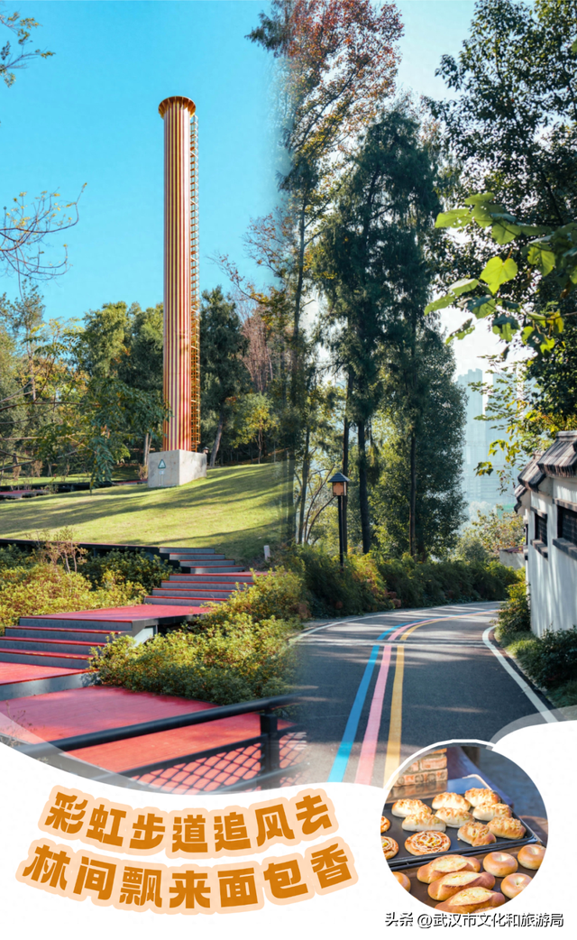 赶紧收藏！森林公园3大玩法新鲜出炉