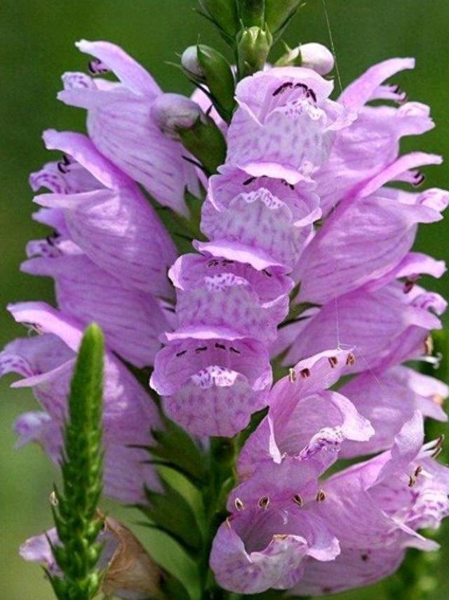 爱是放下输赢的凝视