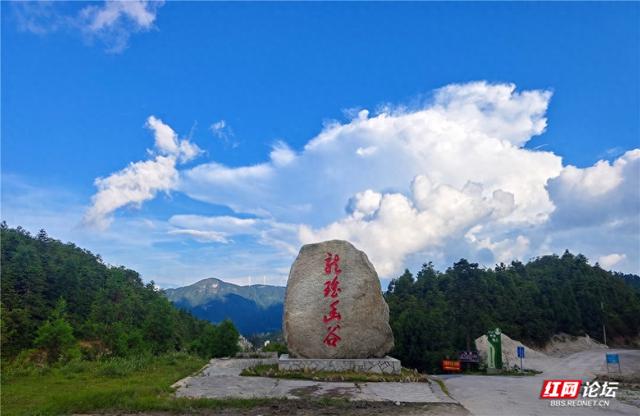高清湖南丨花海与云海，隆回龙瑶幽谷的双重浪漫