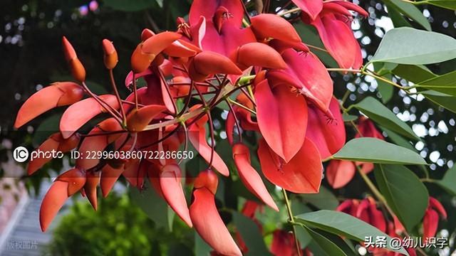 后缀名mpg是什么格式文件（文件格式及功能汇总）