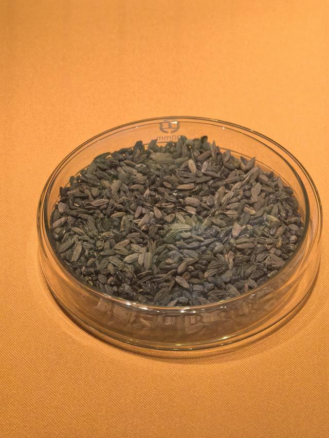 每粒米都是时间的胶囊，走进南京市博物馆看江南的稻米文化