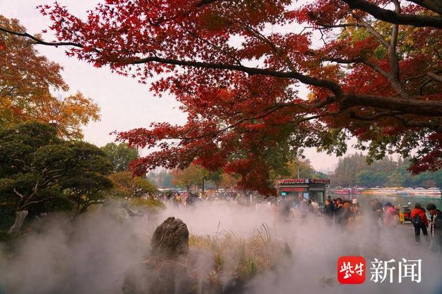 南京玄武湖公园里，雾里看枫别样美——