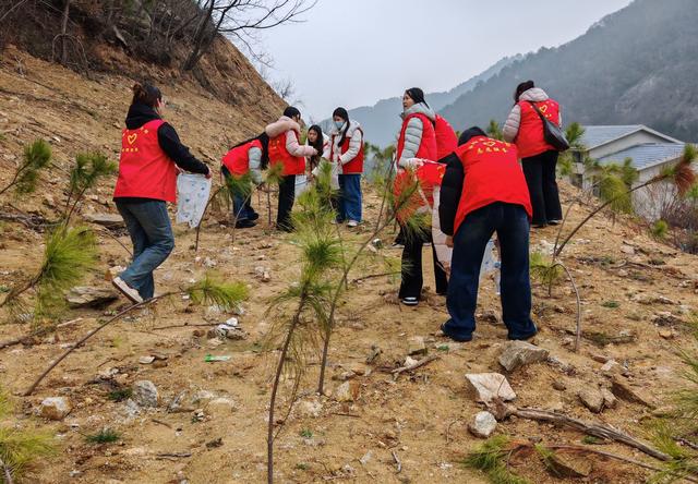 桐柏县林业局组织开展2025年“三八”妇女节系列活动