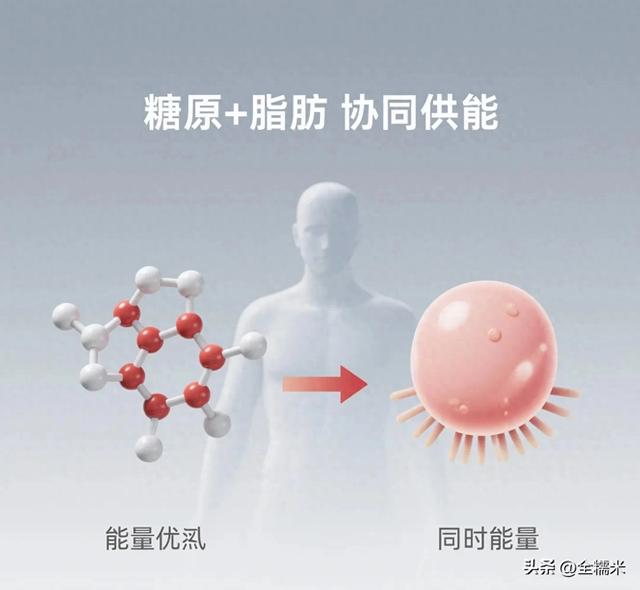 别再被30分钟骗了！跑步燃脂的真相：哪怕跑10分钟，脂肪也在烧