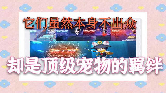 qq飞车什么宠物适合竞速（QQ飞车手游它是最强领跑宠物羁绊宠物）