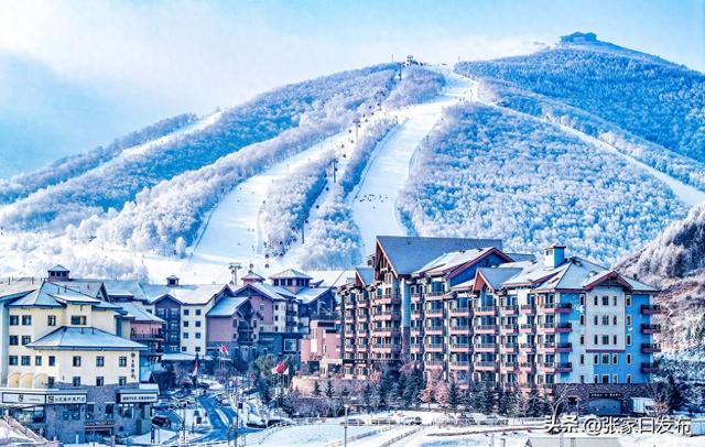 崇礼雾凇 美到极致