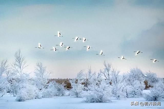 齐齐哈尔：五大线路已就位！