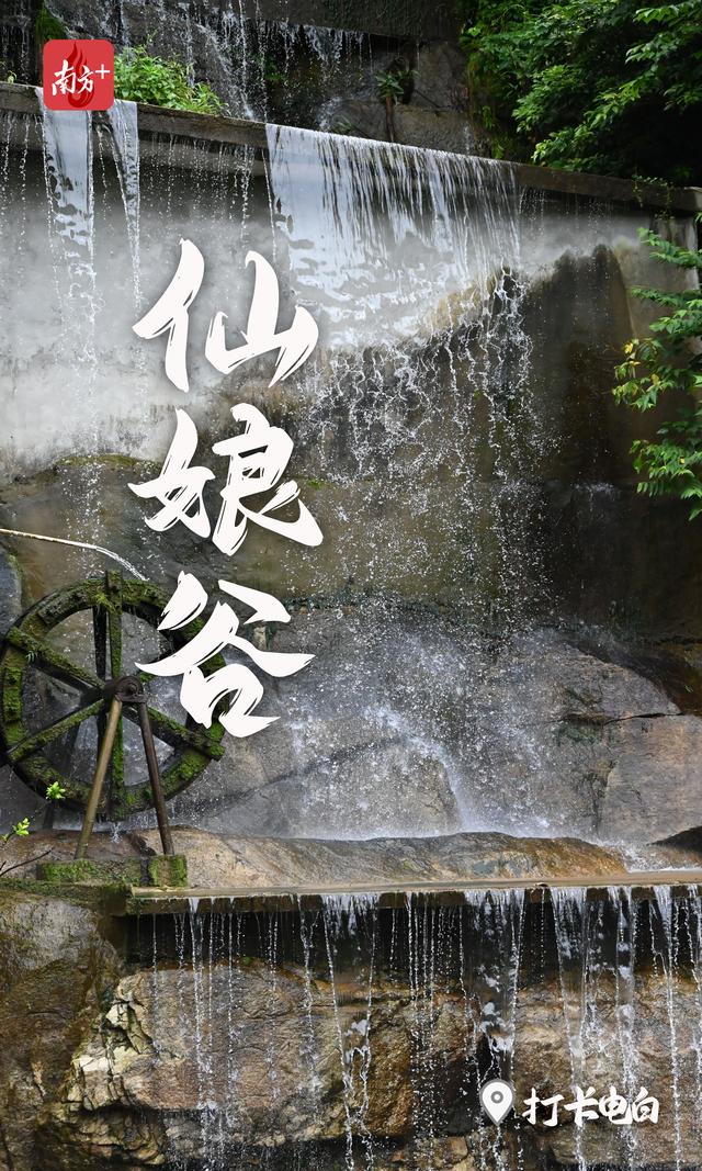 温差8℃的避暑胜地：绿野仙踪 盛夏如春｜打卡电白