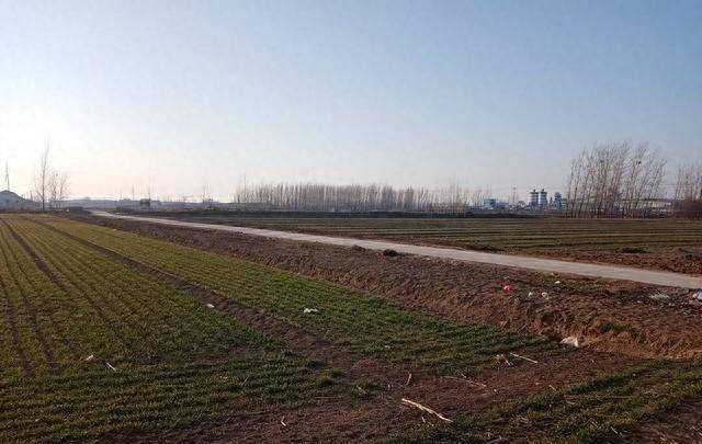 台江优化seo（正月初十早看天）