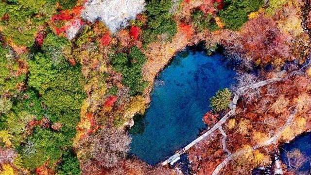四川这个地方的初冬，是彩色的！