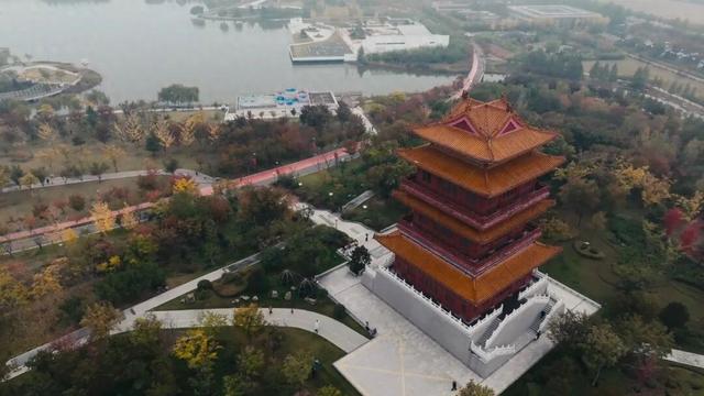 济宁初冬的凤凰台植物园美到犯规