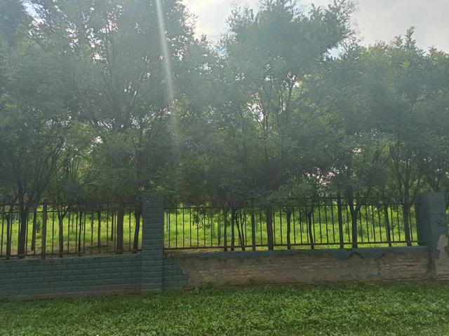 午后，雨后郊野，天气蒸热。