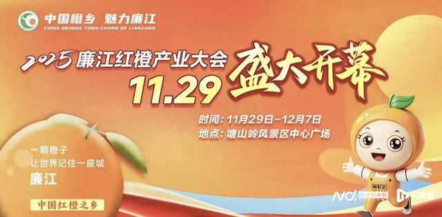 廉江红橙节11月29日开幕，九天盛宴邀您共赏橙乡风光