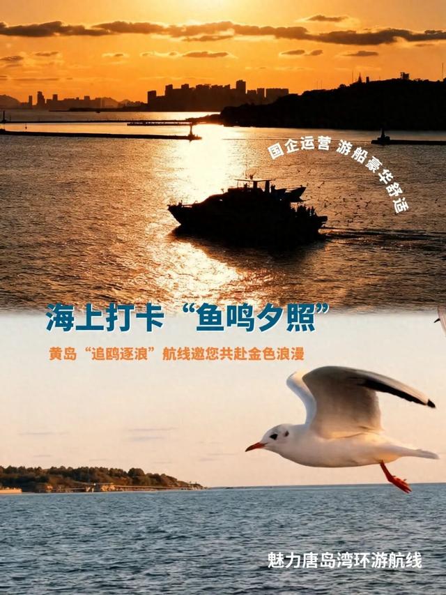 海上打卡“鱼鸣夕照”，黄岛“追鸥逐浪”航线邀您共赴金色浪漫