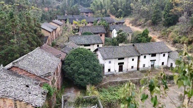 湖南令人奇怪的无人村，交通便利生活富足，村民为何自费搬离