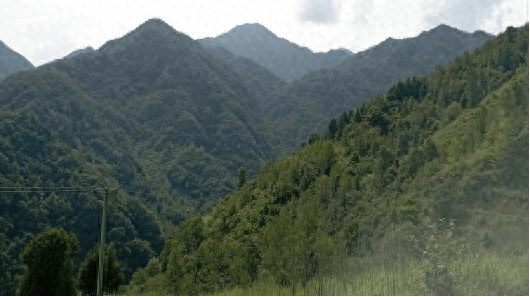 【人文地理】青川县沙州镇平台山‖焦仕阳