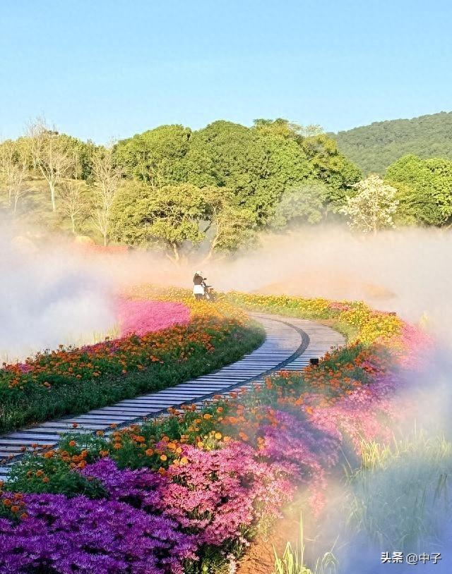 北京愣了！南宁这碗粉比啥都治愈。