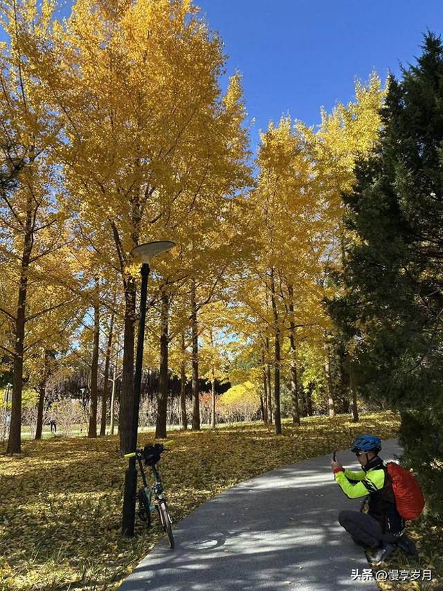 老婆，今晚我有事，不用给我带饭啦！
